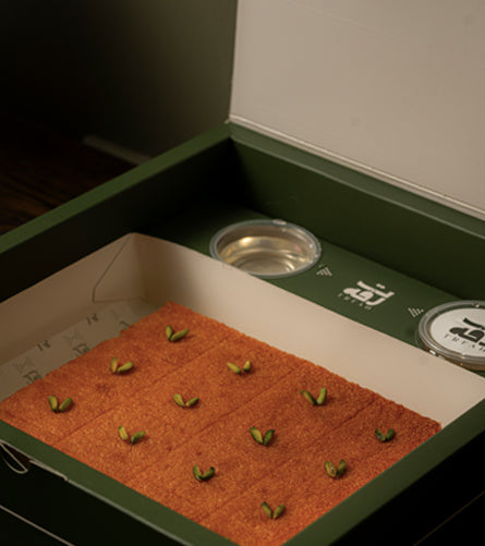 بوكس تشيزكيك البسبوسة